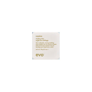 evo | cassius styling clay 90g